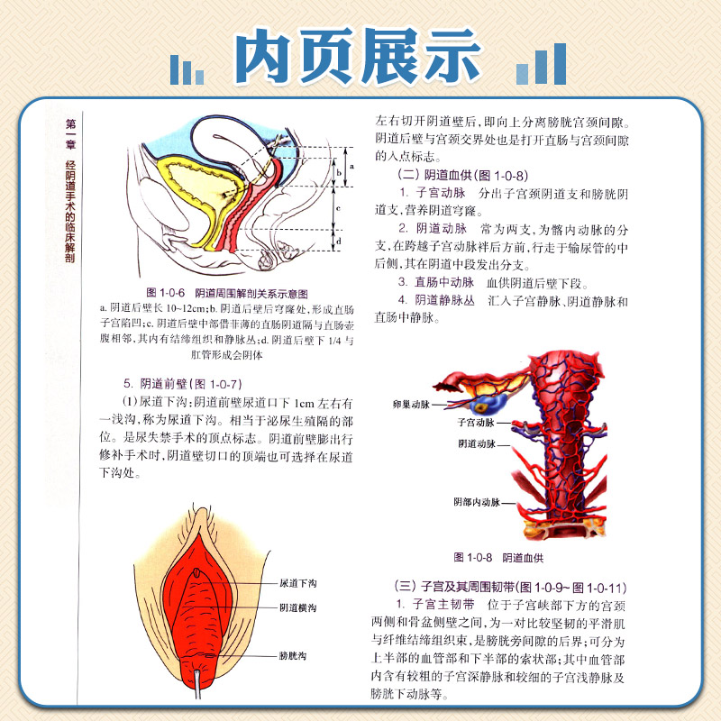 经阴道手术难点与对策 经阴道子宫手术阴道手术解剖学大子宫经阴道全切盆腹腔经阴道全子宫切除术经阴道卵巢囊肿剥除术 妇产科学