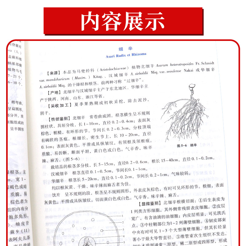 正版中药鉴定学康廷国闫永红十四五规划教材第十一版新世纪第五版自学入门零基础学本科全国高等中医药院校教材书11供中药学类专业