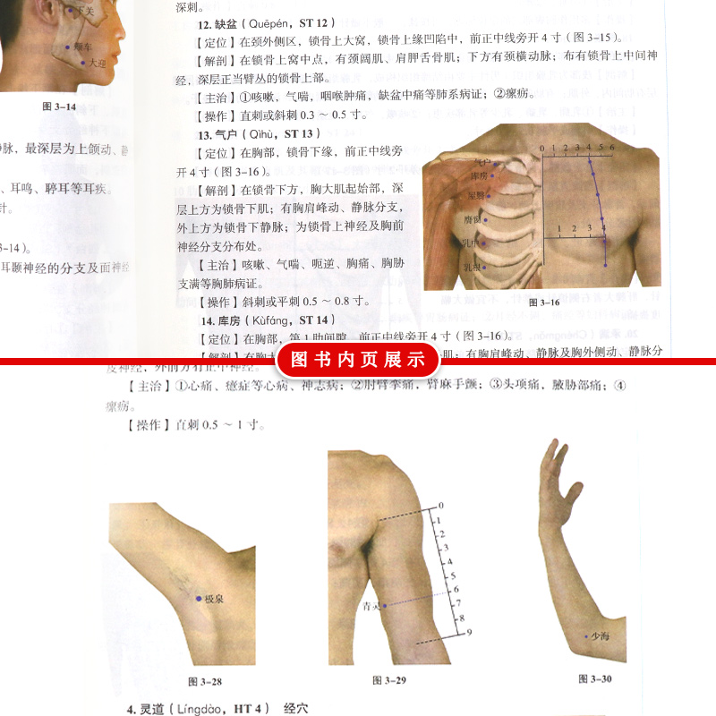 正版十四五规划教材书中医基础理论中医诊断学中药学方剂学中医内科学中医外科学中医妇科学儿科学针灸学第十一版新世纪第五版-图2