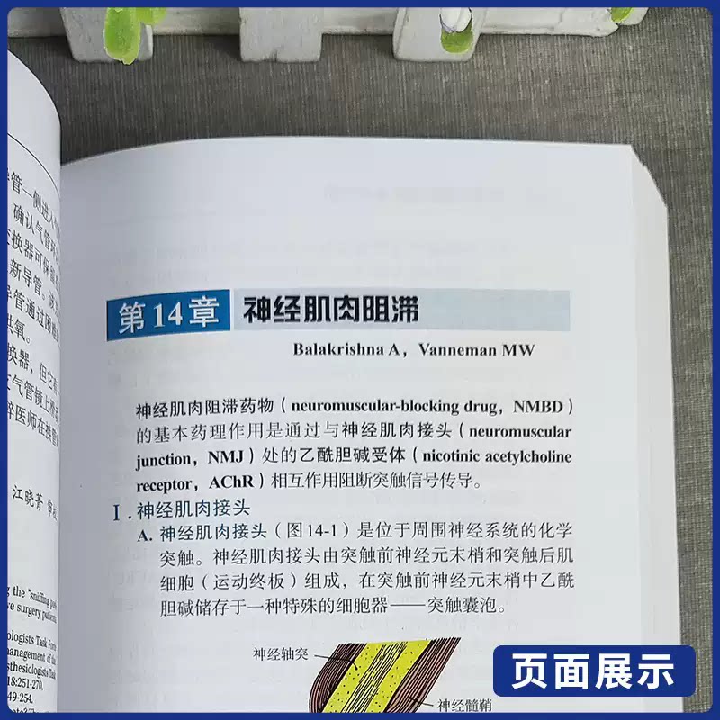 新版 麻省总医院临床麻醉手册 原书第10版 第十版 中文翻译版 王俊科 医生实用临床现代麻醉学书籍摩根手术护理学米勒麻醉监测书籍