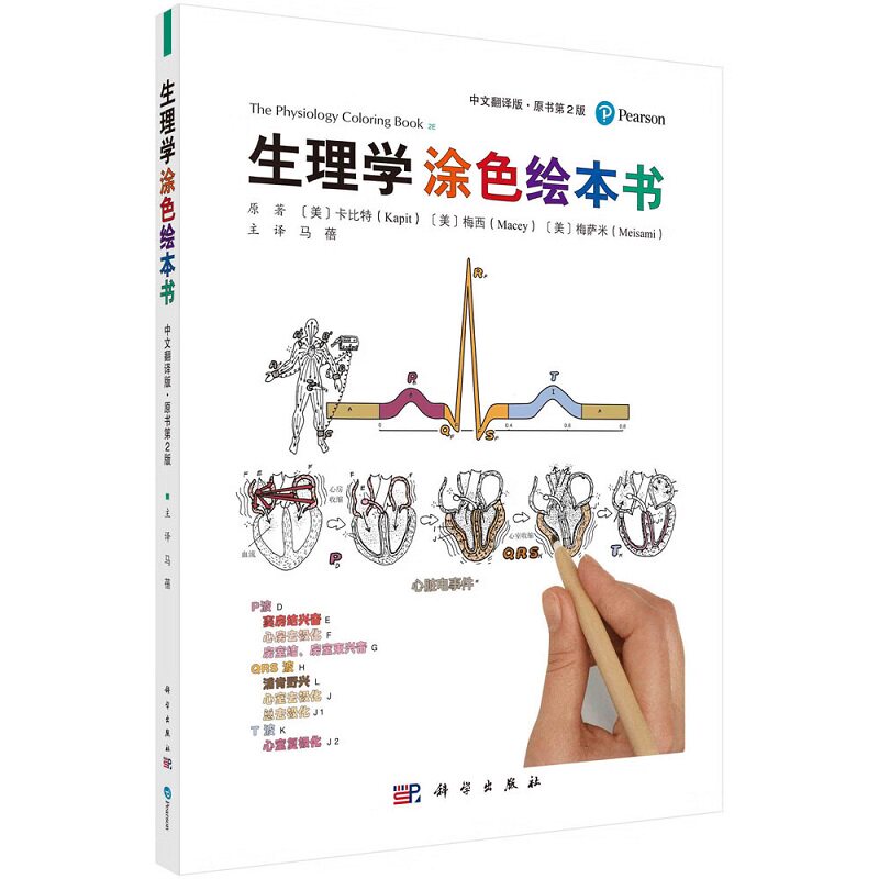 生理学涂色绘本书 原书第2二版 中文翻译版 文字部分在左页插图图形部分在右页 一组图文对照解释一个独立主题 马蓓 科学出版社