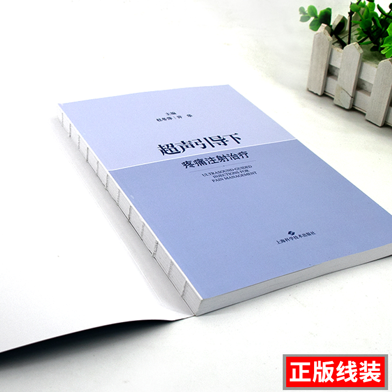 超声引导下疼痛注射治疗 疼痛科麻醉科临床医学工具书 疼痛诊疗学 疼痛学 实用临床疼痛治疗学 疼痛科书籍 超声引导疼痛介入治疗 - 图1