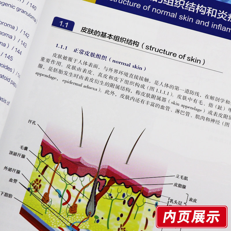 正版皮肤组织病理学入门皮肤科书籍 盛世天佑图书皮肤病学/性病学