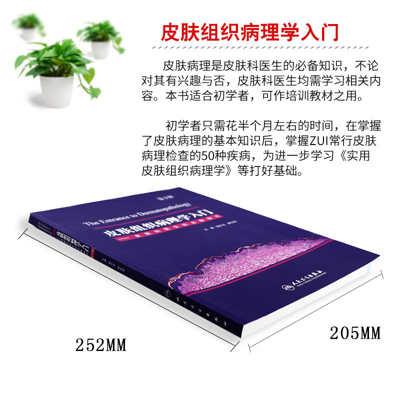 正版皮肤组织病理学入门皮肤科书籍 盛世天佑图书皮肤病学/性病学