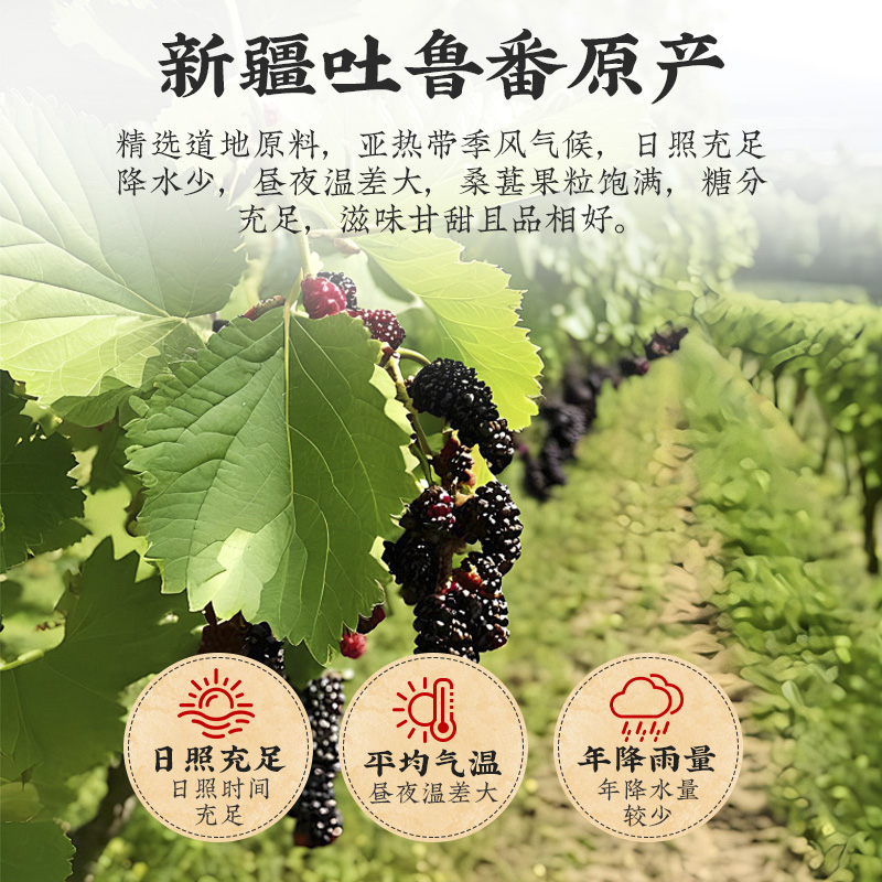 新疆桑葚干500g黑桑甚子桑椹干果特级泡水泡茶南疆正品官方旗舰店