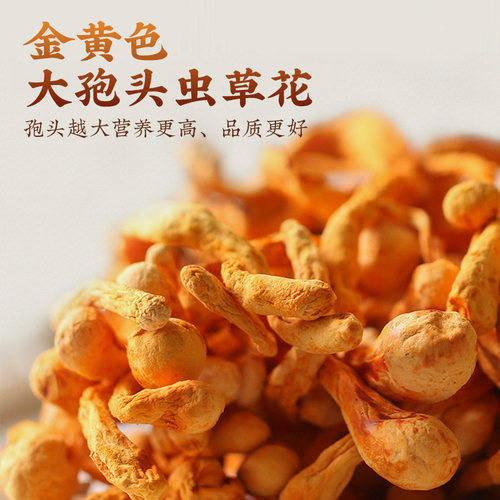 虫草花正品新鲜干货官方旗舰店金虫草菇煲汤材料非特级野生 - 图1