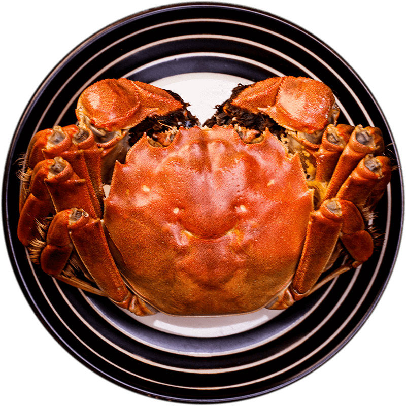 [活蟹]大闸蟹公5两母4两五对共10只鲜活特大螃蟹河湖蟹送礼朋友,淘宝优惠券,粉丝福利购,淘宝优惠卷