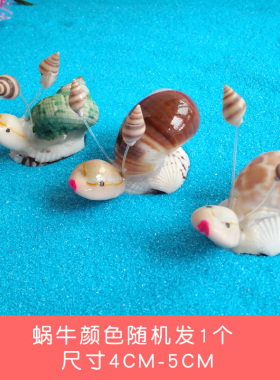 可爱草帽小乌龟海螺贝