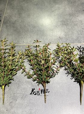 花艺精品仿真植物微景观