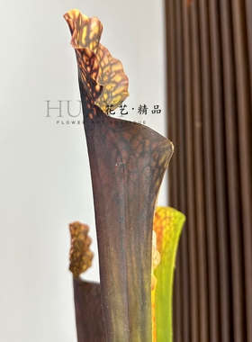 仿真花瓶子草手感高颜值异形花材