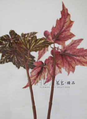 自然灵动叶材飘逸手感彩芋叶仿真树叶热带植物大叶子唯美红色