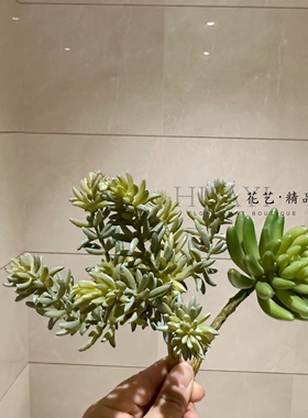 仿真多肉植物绿色北欧风室内装饰摆件客厅桌面小盆栽金钱串宝莲花