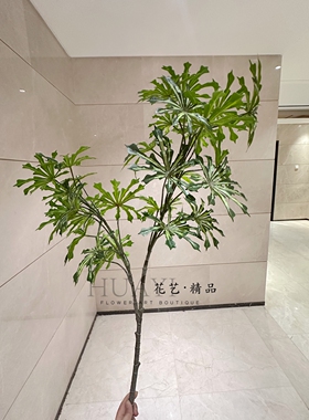 仿真绿植孔雀木枝条斑叶木热带鸭掌木植物摆件造景插花福禄桐