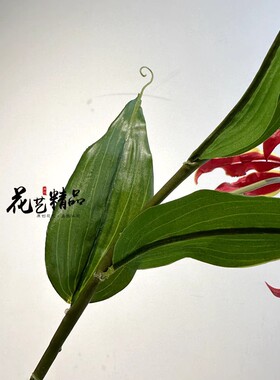 花艺精品仿真花嘉兰百合单只