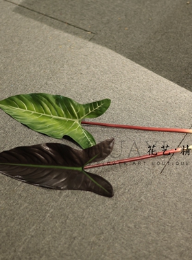 萨利安芋叶黑紫色绿色热带大叶材叶子紫背海芋叶花艺空间装置素材