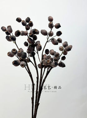 仿真果实烟袋果 黑加仑果假果子圣诞花环装饰万圣节叶道具材料