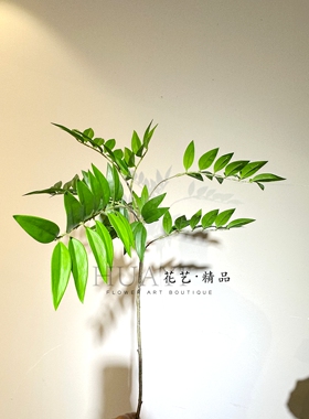 仿真绿植发财树叶南天竹南天竺简约叶材室内布置植物花卉装饰摆件