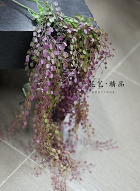 悬挂植物垂吊绿植仿真金钱叶金钱串草彩色素材造景美陈拍摄道具
