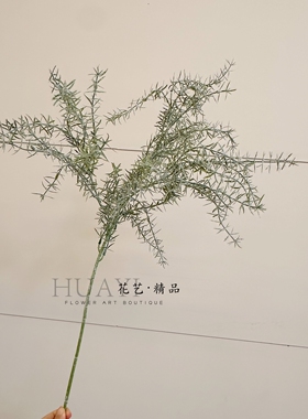 雾感蓬松树枝雪松枝天门冬草仿真绿植迷迭香千层金插花配材绿植
