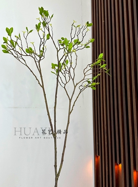 仿真树枝叶材花材嫩叶芽柳