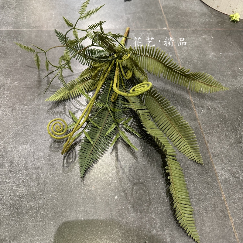 铁线蕨波斯草排草植物墙配材插花装饰山草仿真草波士顿蕨羊齿蕨草-图2