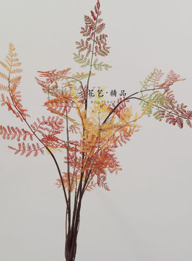 仿真蕨类狼牙蕨绿色黄色红色文竹草植物彩色叶子装饰花艺造景素材