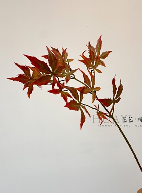 复古款暗红色鸡爪槭迎客枫仿真红枫叶枝条绿枫叶大树装饰树枝插花