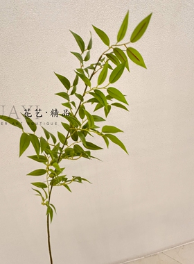 仿真白边竹叶山槭木叶花叶南天竺枝条插花绿植假花艺摆件