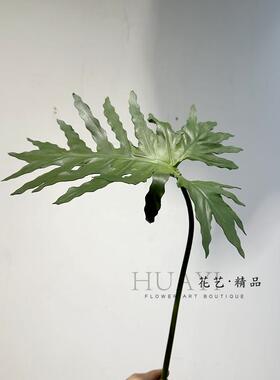 PU单片叶子配材仿真春雨叶