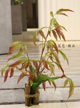 火焰蕨仿真蕨类植物盆栽室内装饰绿植现代简约家居摆件仿真花