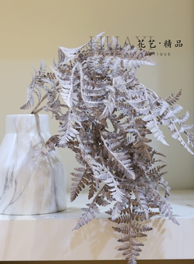 带白霜波士顿蕨波斯草微垂悬挂植物仿真花造景素材美陈摆放