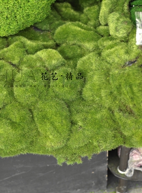 仿真青苔绿色植物装饰造景美陈道具苔藓毛石头假白发藓摆件