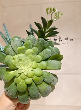 仿真小芦荟仙人掌宝石莲兔耳草绿植装饰植物花卉创意礼物
