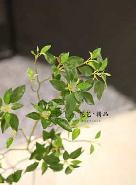仿真绿叶枝条北欧简约家居装饰插花艺摆件马醉木叶吊钟叶植物花卉