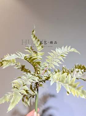 手感保湿蕨草仿真波斯草波士顿蕨地被造景植物鱼缸装饰美陈道具