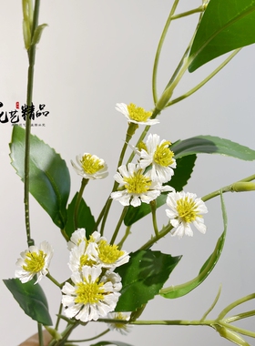 仿真小雏菊野菊花拍摄白色小野花