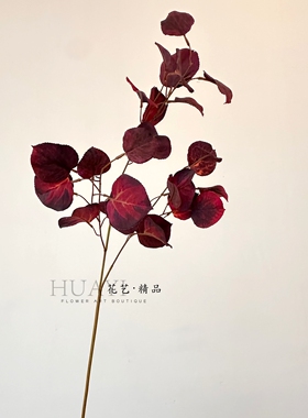 红叶枯叶仿真乌桕叶尤加利叶桉树叶苹果叶花艺素材氛围感枝条