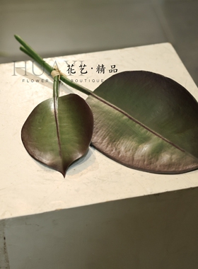 2片组合大叶子琴叶榕仿真植物插花配叶热带植物春雨叶雨林缸榕叶