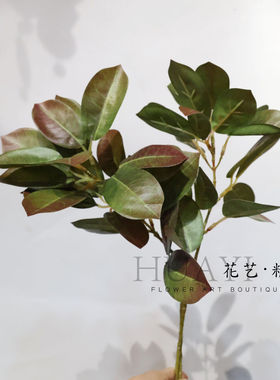仿真乌桕叶子枝条家居装饰摆件绿色假花艺极简风渐变色叶材绿叶