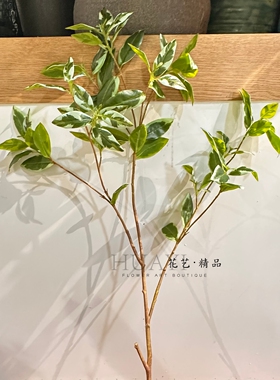 仿真绿植枝条室内装饰摆件桌面植物手感假花艺马醉木吊钟舌雀叶