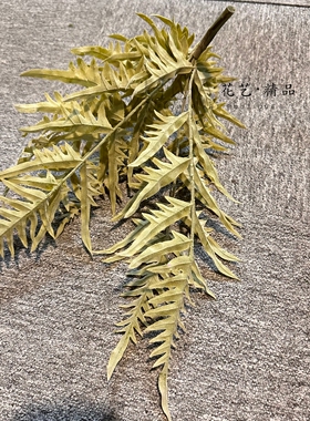 灰色蕨草仿真波斯草波士顿蕨肾蕨爬虫缸造景橱窗摆放插花素材