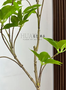 手感仿真鸭掌木枝叶长枝叶