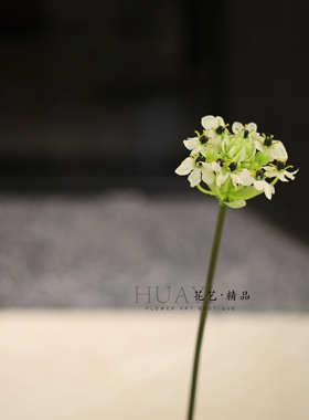 高枝梦幻花艺素材仿真天鹅绒优雅仿真花长枝装饰摆设植物花卉轻奢