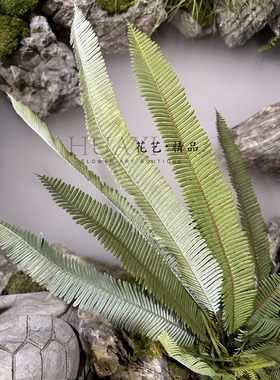 花艺精品仿真植物芒萁蕨树叶