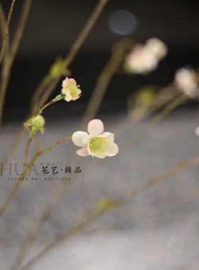 仿真樱花枝条装饰摆件大堂插花素材树枝枯枝树藤线条型美陈拍摄