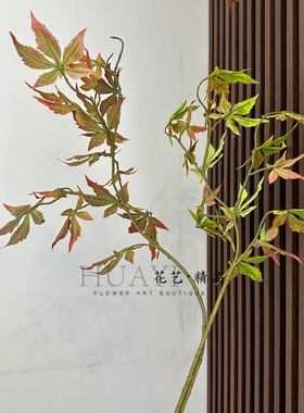 仿真植物平枝枫叶墙装饰树枝绿色香山枫插树叶子绿枫树叶