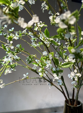 花艺精品仿真手球单只雪柳