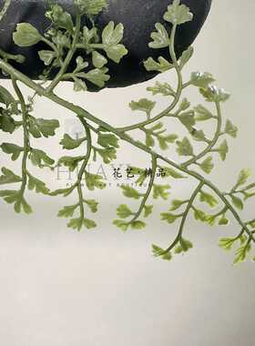 仿真花仿真植物铁线蕨长条型