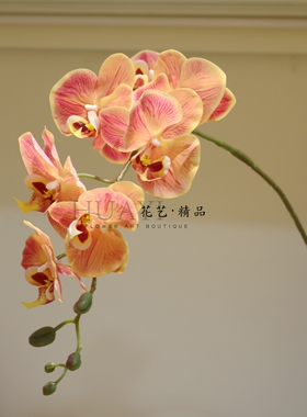 仿真蝴蝶兰假花紫色渐变家居装饰花艺摆件富贵气质高级感