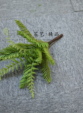 仿真蕨类植物蕨草小铁树绿植盆栽室内装饰摆件自然风格造景